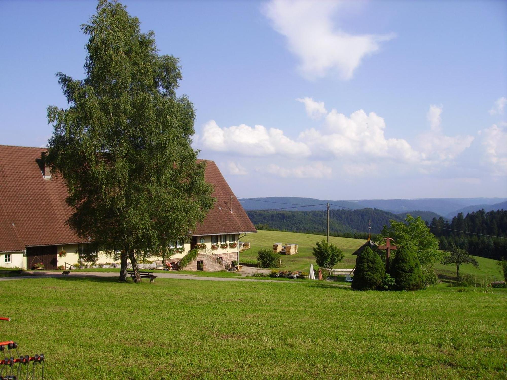 Aeckerhof Villa Wolfach Eksteriør bilde